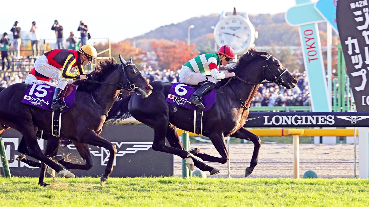 Japan Cup Hero Vela Azul's Incredible Improvement After ... Image 1